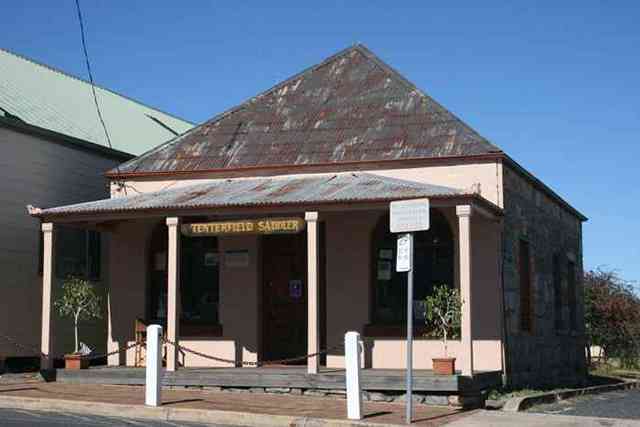 Tenterfield Saddler